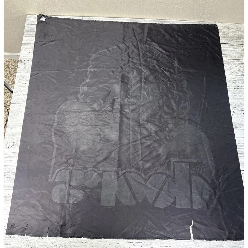 Vintage THE‎ DOORS Banner Flag Wall Hanging John Morrison USA Swift Classic Rock - Picture 7 of 7